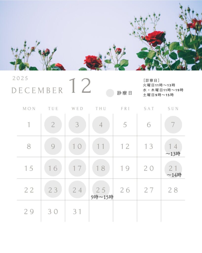 12月診療日